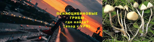 бутират Богородицк