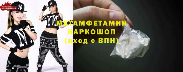 индика Богданович