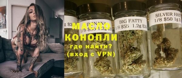 индика Богданович
