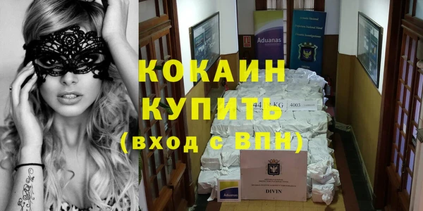 индика Богданович