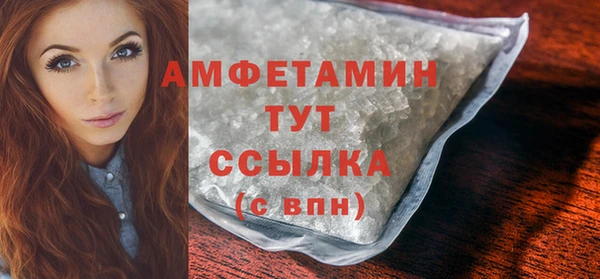 индика Богданович