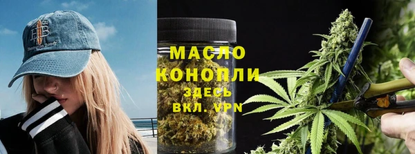 индика Богданович